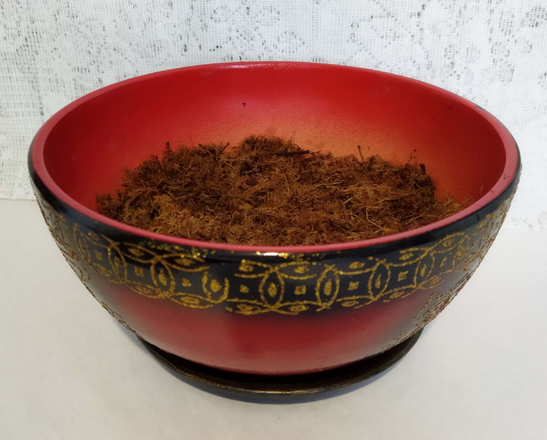 Пересадка орхидеи-фаленопсиса в домашних условиях с пошаговыми фотографиями