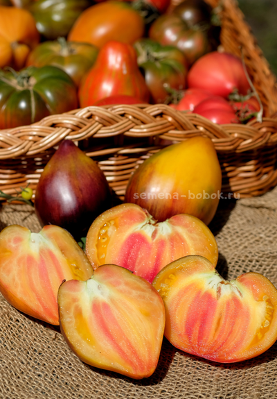 Томат Ананасный Сержант, 10 шт