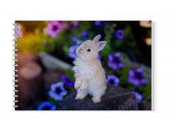 Альбом год Кролика №8