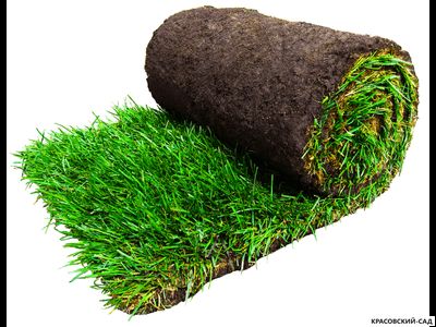 Рулонный газон Биг-ролл