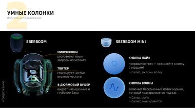 SberBoom mini / SBER DEVICES