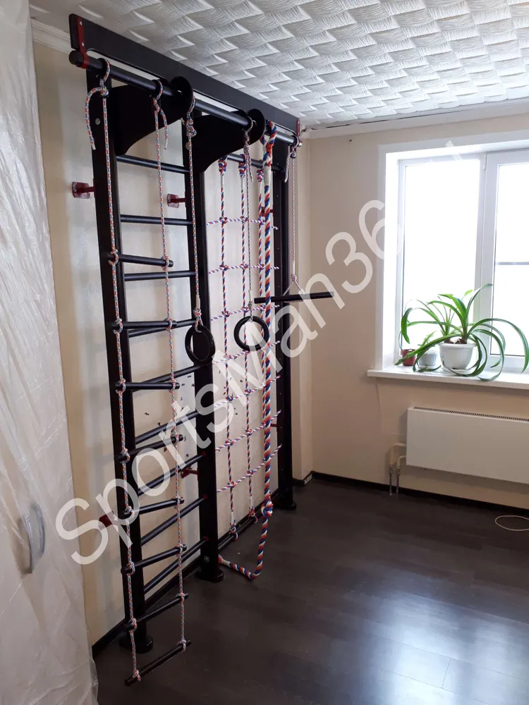 СПОРТИВНЫЙ КОМПЛЕКС KARUSSELL BERNHARD, цвет дерева ВЕНГЕ, цвет металла красный.