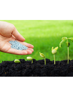 Минеральные удобрения