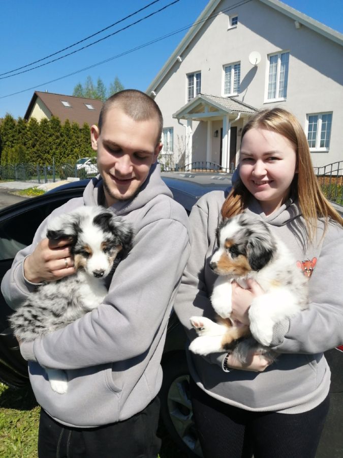 ГРЕЙТ СКАЙС БАЙ БАУЭР и ГИВ МИ Э СТАР БАЙ БАУЭР 