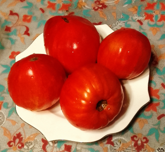 Семена томата Угощение Глории Гном/ *нов 2025