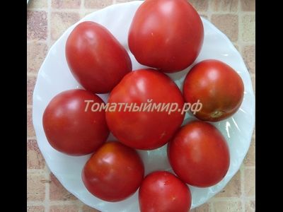 Томат Гном Австралийская Капля (Dwarf Aussie Drop)