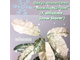 Ficus Altissima ‘Snow Storm’ / фикус алтиссима снежный шторм