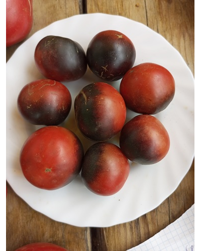 Томат Гондвана Гром (Dwarf Gondwana Thunder)