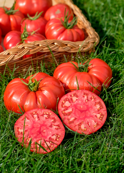 Томат Costoluto di Lenno (Костолуто ли Ленно), 10 шт