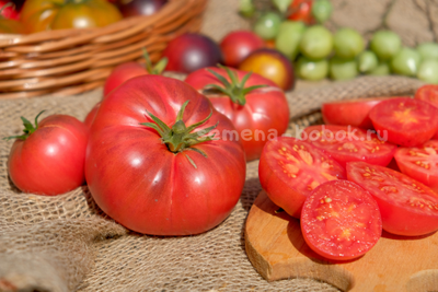 Томат Rebel Starfighter Kayleigh Anne Pink (Восставший Звездный Истребитель Кейли Энн Пинк ), 10 шт