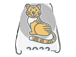 Мешок для обуви год Тигра №5
