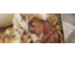 КАПЛИ УНИВЕРСАЛЬНЫЕ "БОБРОВЫЙ ЗДРАВЕНЬ"