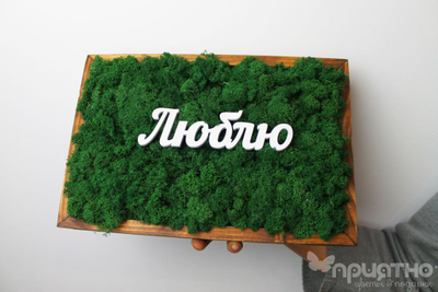 ЖИВАЯ ЭКО-КАРТИНА 1053