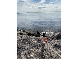 Духи НОТА: ЖЕНСКОЕ ПРИСУТСТВИЕ, 5.5 мл