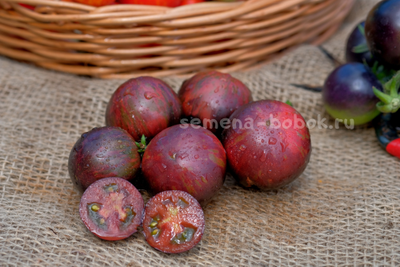 Томат Dwarf Gondwana Lava (Гном Гондвана Лава), 10 шт