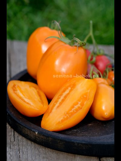 Томат Минусинские Стаканы Оранжевые, 10 шт