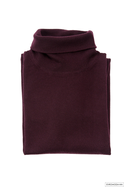 Водолазка мужская Скони - F4 - 690 (р.52)