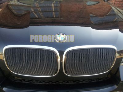 Защита радиатора BMW X5 E70 2006-2013 / BMW X6 2008-2014- (3D) black PREMIUM
