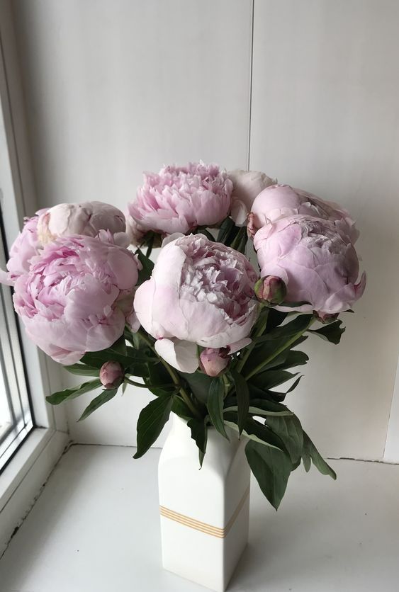Что добавить в вазу с розами, чтобы они дольше стояли?