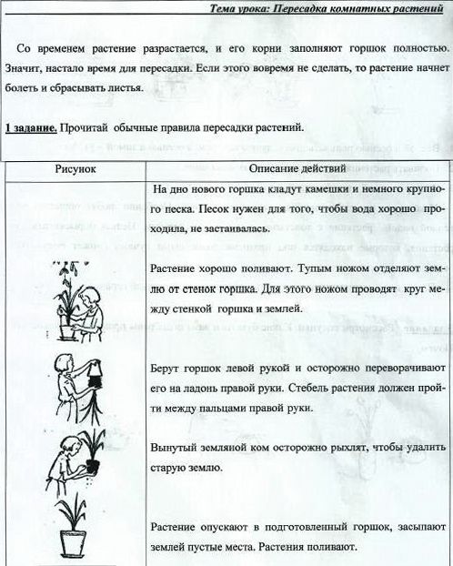 Программы образования для детей с овз. Распредели ниже перечисленные предметные мебель оборудование. 1 учебный план. Программы для детей с овз. Программа осж 5 класс.