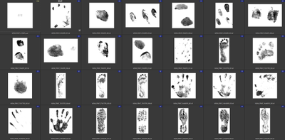 Брызги, отпечатки, следы, царапины