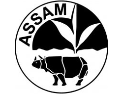 Ассам (Assam)