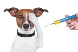 Вакцинация