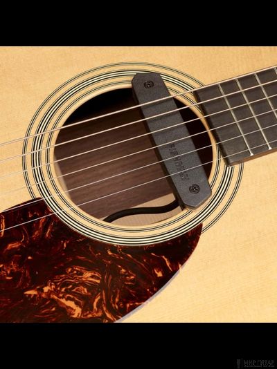 Fishman PRO-NEO-D01 Neo-D