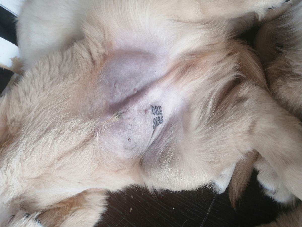 Красивые тату