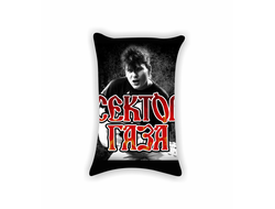 Подушка Сектор Газа, Юрий Хой №18