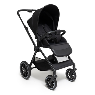 Коляска 2в1 Agex Life Black (Черный)