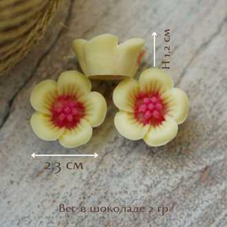 Форма для шоколада "Цветы вишни" 8 ячеек