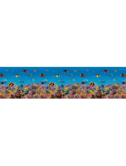 Аквариум (3х0,6 м