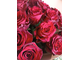 Монобукет Роза Эквадор "Эксплорер" 15шт 70см