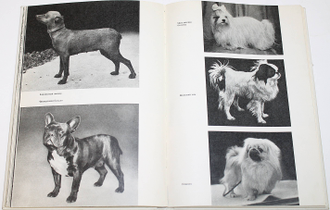 Новотны Й., Найман Й. Атлас пород собак. Прага: Государственное издательство сельхоз литературы ЧССР. 1976г.