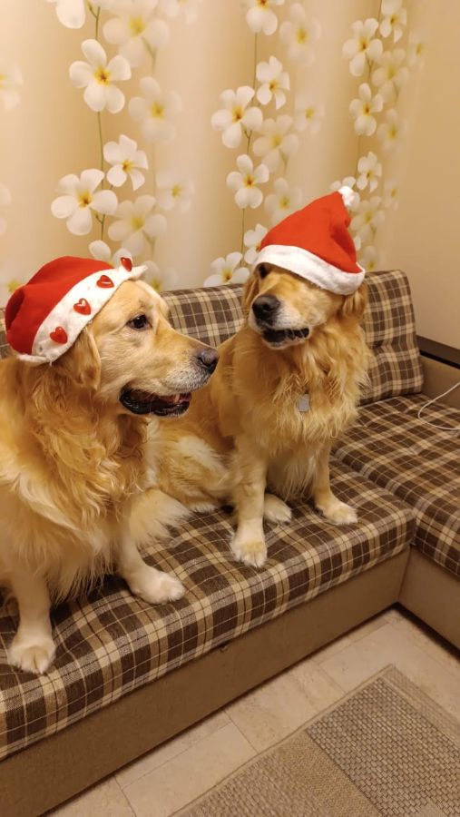 Лукас и Ларри - братья и друзья по жизни. (РЗ Лукас Левангур и  Лоуренс Ай Тодор). Сыновья Лоры