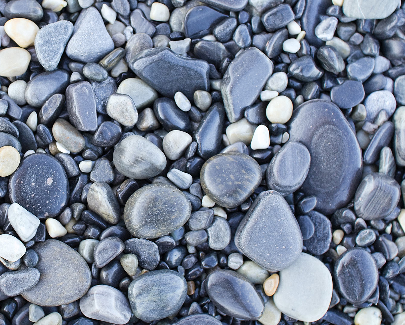 Галька размер. Нефрит галечник. Галька камень Речной серый. Камни морская галька. Красивые камушки.