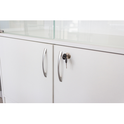 (TSV 903) Витрина пристенная со шкафчиком