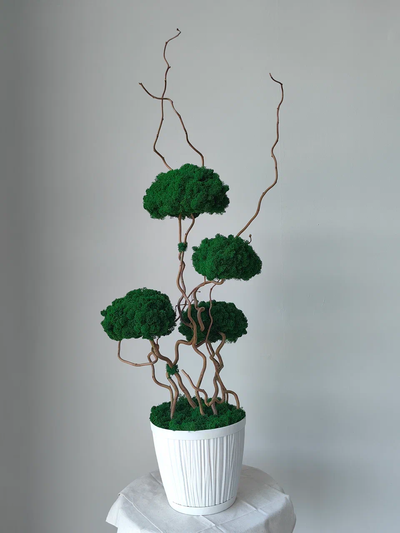 Живая эко-композиция 1001