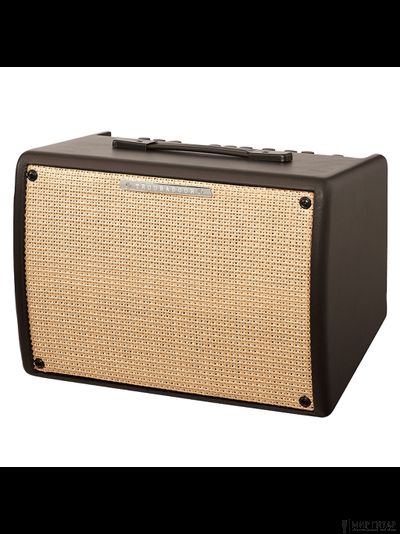 banez T30II Troubadour