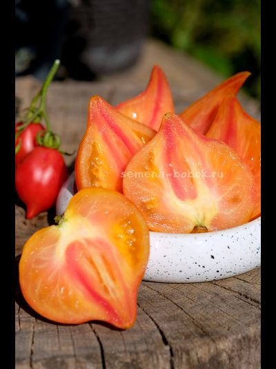 Томат Волшебные Шляпки тётушки Гретель