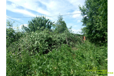 20 кубометров порубочных отходов с 5 соток