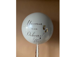 Гендер-шар "Мальчик или девочка"