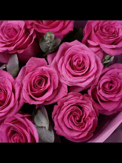 9 розовых роз