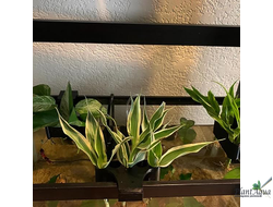 SwetAqua APH-S - Крепление для надводных растений