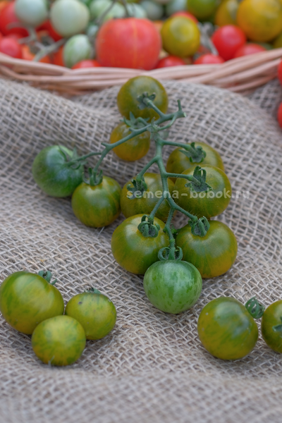 Томат Sweet Baby Jade (Свит Бэби Джейд), 10 шт