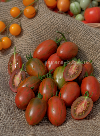 Томат Dwarf Audrey’s Love Tomato (Гном Любовь Одри), 10 шт