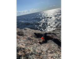 Духи НОТА: УСТА САХАРНЫЕ, 3.5 мл