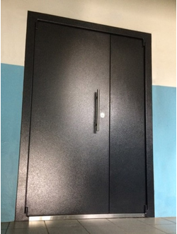 Дуэт двухстворчатая тамбурная дверь