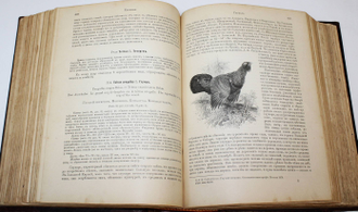Холодковский Н.А., Силантьев А.А. Птицы Европы. СПб.: Тип. А.Ф.Девриена, 1901.